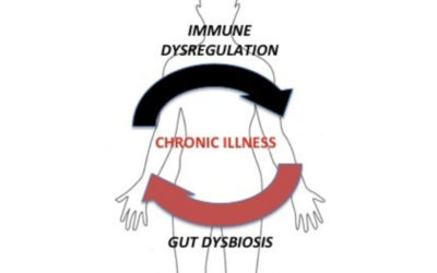 Immune Dysregulation and Gut Dysbiosis