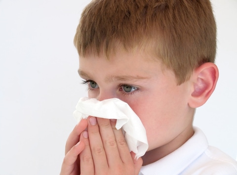 Allergies and Sensitivities 101