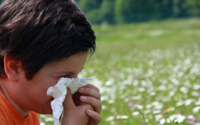 Allergies and Sensitivities