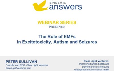 The Role of EMFs in Excitotoxicity, Autism and Seizures